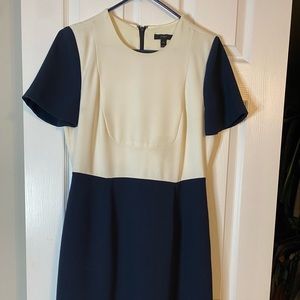 Navy and white knee length short sleeve dress